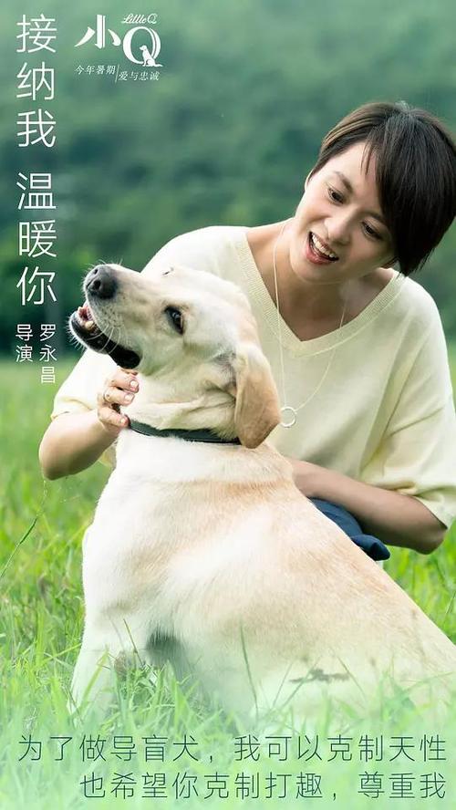 买张新帕尔茨学院文凭毕业证